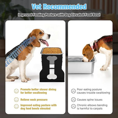0.85 Gallon Dog Food Bowls Elevated, 10" Raised Dog Bowl with Stand for Medium Breed, Full Metal Feeding Station for Joint Pressure Relief, Easy Clean for Indoor Outdoor