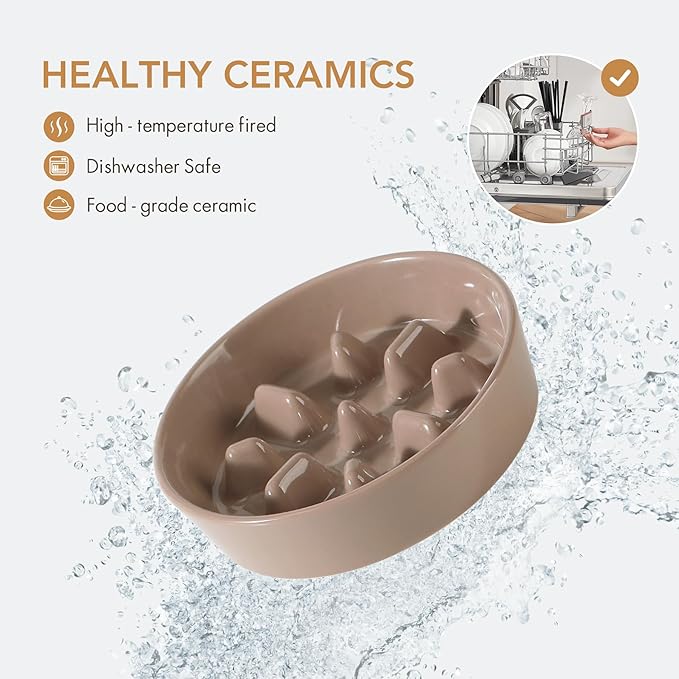 Havniva Ceramic 1.2 Cup Raised Slow Feeder Dog Bowl Set, Elevated 6.1inch Bowl and 7.3inch Slow Pet Food Dish with Wooden Stand for Small and Medium Dog (2 x Brown Coffee+ Stand)