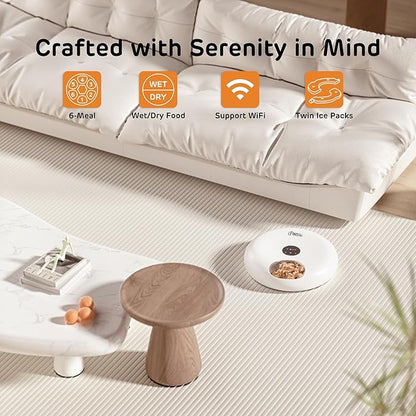 [Stainless Steel Tray Version] iPettie Donut Frost WiFi 6 Meal Automatic Wet Food Feeder with Ice Packs for Senior and Weak Pets, App Control Programmable Timer, Holds 6 x ½ lb. of Food, White