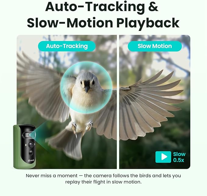 Birdfy 2 Smart Bird Feeder with Camera, AI Identifies Bird Species, 2K Dual-Lens + Side HD Camera for Live Streaming & Feeding View, Solar-Powered Backyard Birdwatching Gift Present