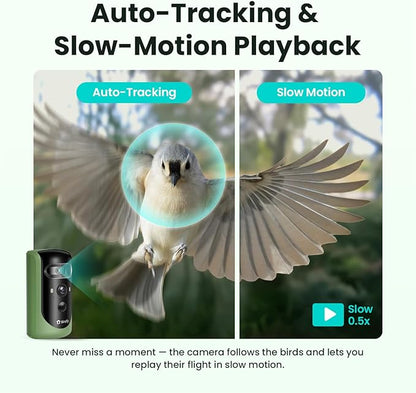 Birdfy 2 Smart Bird Feeder with Camera, AI Identifies Bird Species, 2K Dual-Lens + Side HD Camera for Live Streaming & Feeding View, Solar-Powered Backyard Birdwatching Gift Present