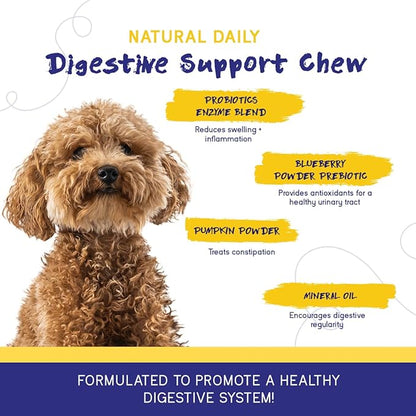 PupGrade Digestive Support Chews for Dogs - Prebiotic and Probiotic Supplement with Enzyme Blend - Upset Stomach, Diarrhea, Bowel, and Immune Support - Pumpkin, Blueberry, Mineral Oil - 360 Soft Chews