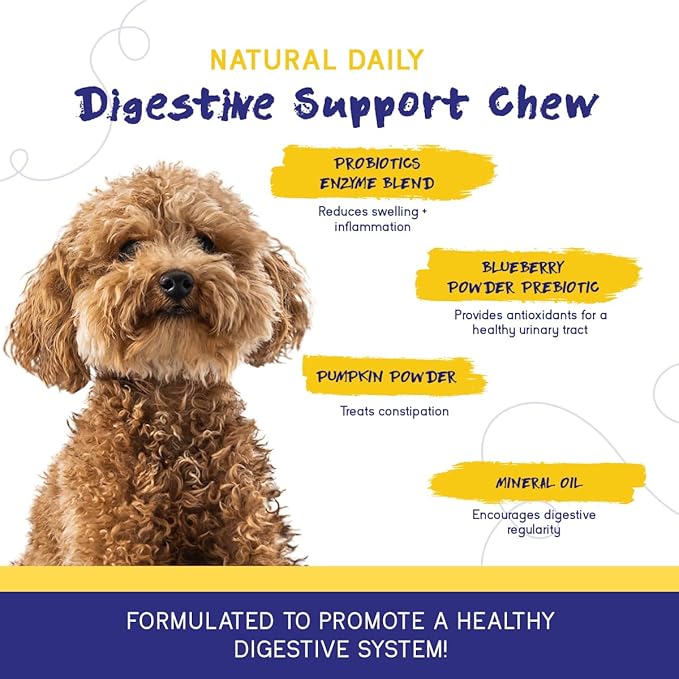 PupGrade Digestive Support Chews for Dogs - Prebiotic and Probiotic Supplement with Enzyme Blend - Upset Stomach, Diarrhea, Bowel, and Immune Support - Pumpkin, Blueberry, Mineral Oil - 60 Soft Chews