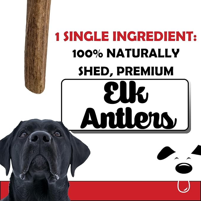 Elk Antlers for Dogs – 100% Naturally Shed, Grade A Split Antlers – Long-Lasting, Nutritious Dog Chews – Supports Dental Health & Satisfies Chewing Instincts – 2 Count