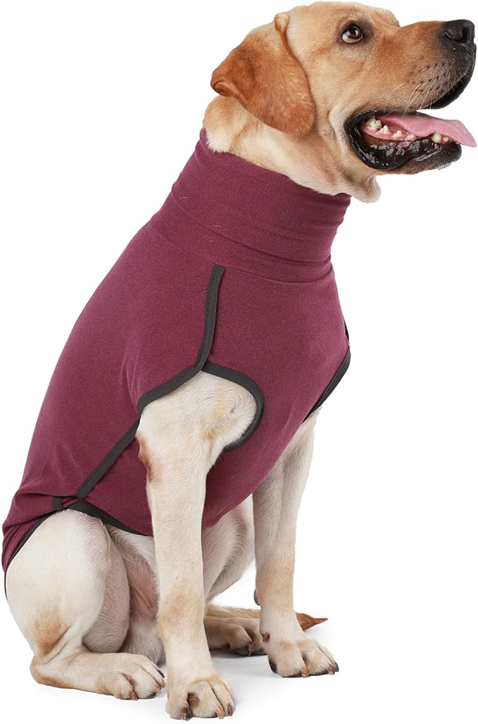 Dog Sweater Pullover Cold Weather Vest for Dogs Dog Sweatshirt & Jacket for Indoor and Outdoor Use (XX-Small, Wine red)