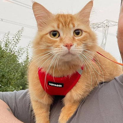 Voyager Step-in Air All Weather Mesh Harness and Reflective Dog 5 ft Leash Combo with Neoprene Handle, for Small, Medium and Large Breed Puppies by Best Pet Supplies - Harness Leash Set (Red), XS