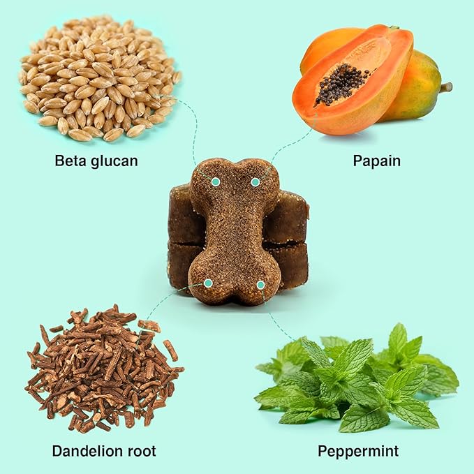 Dog Probiotics and Multivitamin Chews for Gut, Skin and Coat Health, Immune Support Supplement for All Dogs, Pork Flavor Soft Chews, 120 Count, Idea