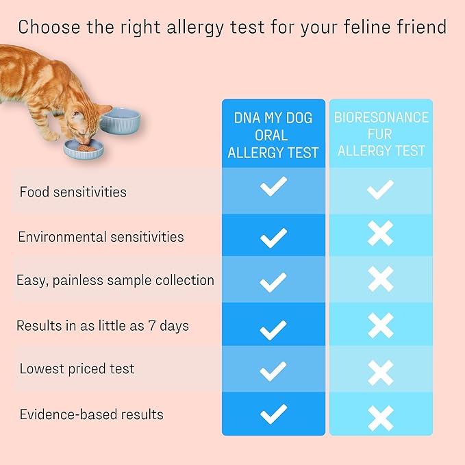 DNA MY DOG – Cat Allergy Test | Vet Recommended Test for Itchy, Sensitive Cats | Easy-to-Use Kit | Non-Invasive Cheek Swab not a Fur Test | Scientifically Valid | Includes Personalized Allergy Report