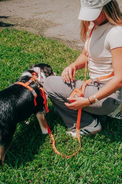 Waterproof No-Pull Dog Harness – Adjustable, Durable & Odor-Free Coated Webbing Harness for Small, Medium & Large Dogs – Easy Clean Adventure Gear by Mila’s Paws (Savage Sunset Orange, M)