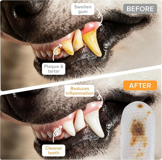Cat & Dog Teeth Cleaning Wipes, No-Rinse Dental Finger Wipes for Dogs & Cats - Gentle Plaque, Tartar, Stains, Bad Breath, Effective Teeth Cleaner for Dogs & Cats - 60 Count