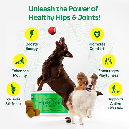 MedsMeHappy Hip & Joint Supplement for Dogs - Bacon Flavor Soft Chews - Mobility & Flexibility Support - MSM, Chondroitin, Glucosamine for Dogs - 60 Count, Dog Glucosamine for Small & Medium Breeds