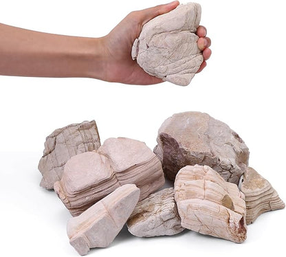 FISCAPE 2-4 Inches Natural Pagoda Rock 10 PCS Aquarium Rocks for Aquascaping, Aquarium Landscaping, Terrariums, Fish Tank Decoration, Vivariums, Paludarium, Reptile and Amphibian Enclosures