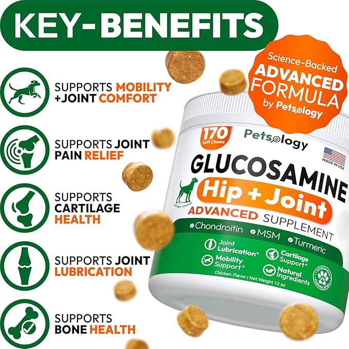 (2 Pack) Glucosamine for Dogs - 340 Mobility Chews - Advanced Hip and Joint Supplement for Dogs - Glucosamine Chondroitin - MSM - Joint Pain Relief