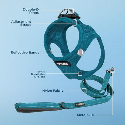 Voyager Step-in Air All Weather Mesh Harness and Reflective Dog 5 ft Leash Combo with Neoprene Handle, for Small, Medium and Large Breed Puppies by Best Pet Supplies - Set (Turquoise), XS