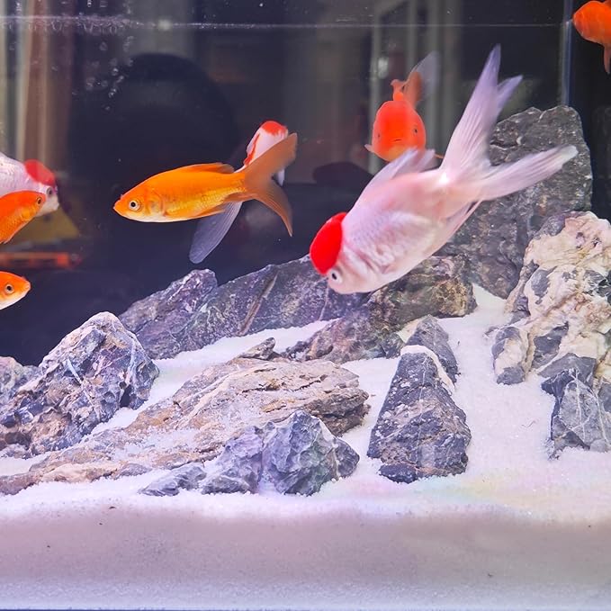 Aquarium Sand, 2lbs White Fish Tank Sand, Aquarium Gravel Substrate for Aquascaping, Vivariums, Terrariums, Plants and Crafts