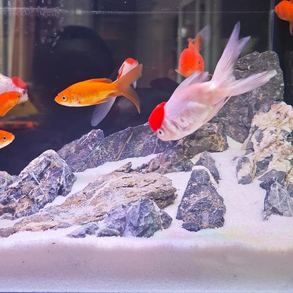 Aquarium Sand, 2lbs White Fish Tank Sand, Aquarium Gravel Substrate for Aquascaping, Vivariums, Terrariums, Plants and Crafts