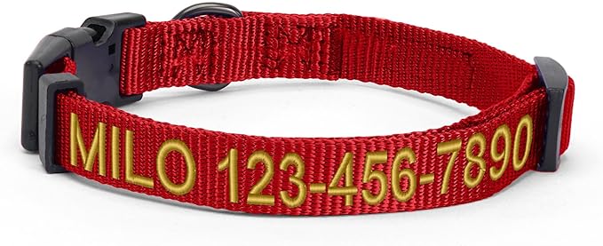 Pawtitas Personalized Dog Collar - Large, Embroidered with Name & Phone Number - Adjustable, Customized for Large Dogs & Puppies - Red