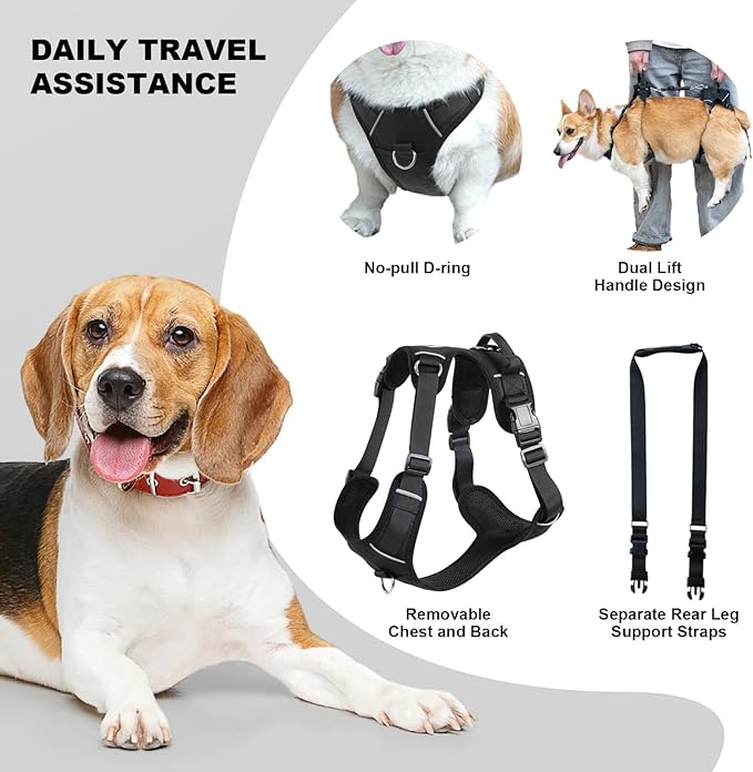 Dog Lift Harness, Dog Lift Sling Carrier with Handle & Shoulder Sling, Support Harness for Rear Back Legs Helps,Disabled,Arthritis,Joint Injuries,Paralysis Up Stairs（Black,Medium）