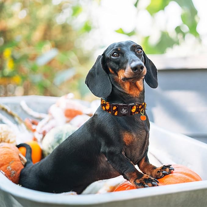 Elegant little tail Halloween Dog Collar, Pumpkin with Maple Leaf Print Fall Pet Collars Cotton Soft Sturdy Puppy Collars Holiday Female Adjustable Collar for X-Small Puppy