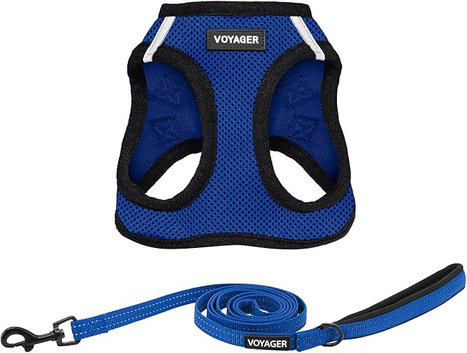 Voyager Step-in Air All Weather Mesh Harness and Reflective Dog 5 ft Leash Combo with Neoprene Handle, for Small, Medium and Large Breed Puppies by Best Pet Supplies - Royal Blue/Black Trim, X-Small