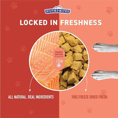 Nutri Bites Freeze Dried Salmon Dog & Cat Treats 4 oz | Healthy Pet Training Treats or Food Topper | All Natural, 1 Single Animal Protein, High Protein