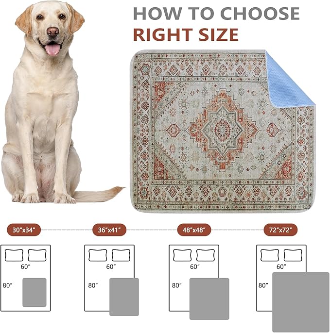 Qeils Washable Pee Pads, Reusable Puppy Pads Super Absorbent Leakproof Dog Training Pads, Non-Slip Wee Wee Pads for Crate, Floor, Potty Pads Feeding Mat Dog Pee 2 Pack 36"x41"