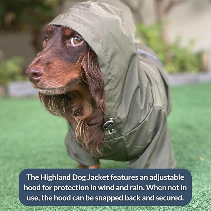 DJANGO Highland Dog Jacket & Raincoat – Water-Repellent, Lined Dog Coat with Hood, Adjustable Fit & Harness Hole – Lightweight Rain & Wind Jacket for Small & Medium Dogs up to 30 lbs (Pink, Large)