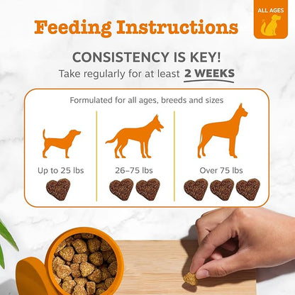 Zesty Paws Dog Allergy Relief Chews, Dog Probiotics for Itchy Skin and Ears, Salmon, 90ct