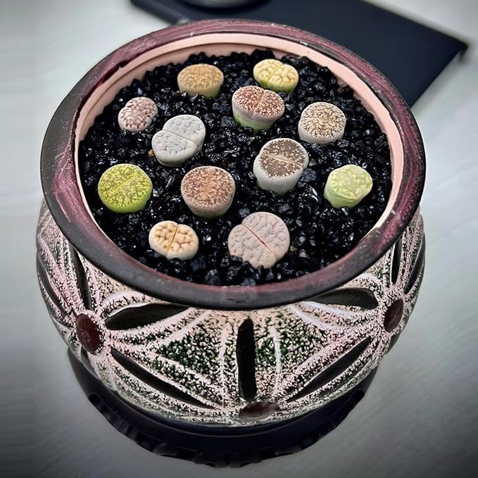 Aquarium Sand, 20lbs Black Fish Tank Sand, Aquarium Gravel Substrate for Aquascaping, Vivariums, Terrariums, Plants and Crafts