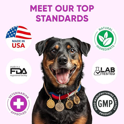 Dog Allergy Relief Chews for Itchy Skin - Seasonal and Food Allergy Chews for Shedding, Licking Paws, Hot Spot, Ears - USA Product - Omega 3 Fish Oil Skin & Coat Supplement - Anti Itch Immune Treats