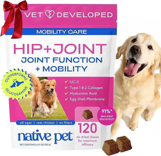 Native Pet Hip & Joint Supplement for Dogs - Advanced Dog Joint & Arthritis Supplement - Helps Maintain Healthy Cartilage, Joint Flexibility, Lubrication, & Function - with ESM & Collagen - 120 Chews