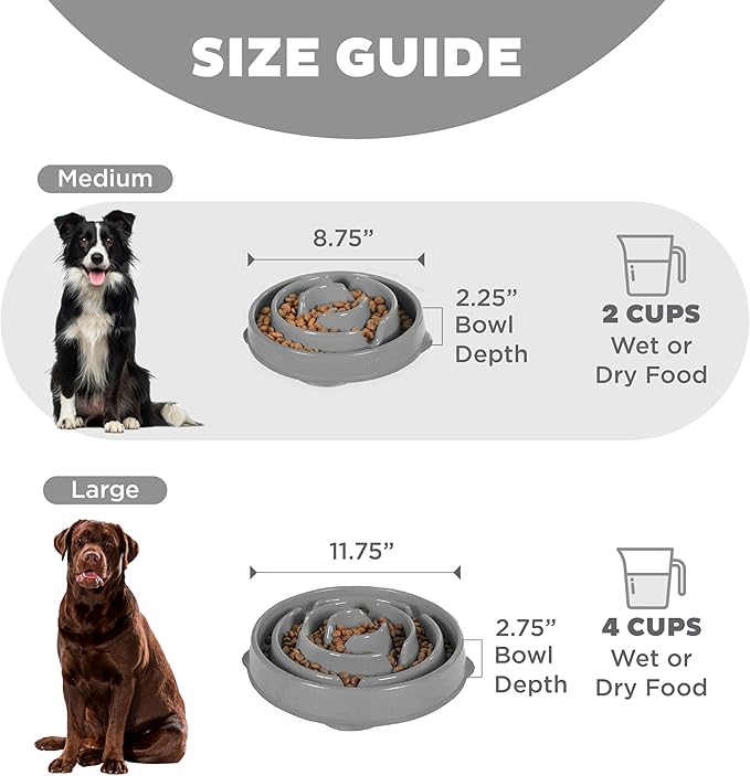 Outward Hound Medium Slow Feeder Bowl, Puzzle Maze for Fast Eaters, Small to Medium Dogs, Helps Prevent Bloat & Aid Digestion, Holds 2 Cups Wet or Dry Food, Non-Slip, Made Without BPA, Gray