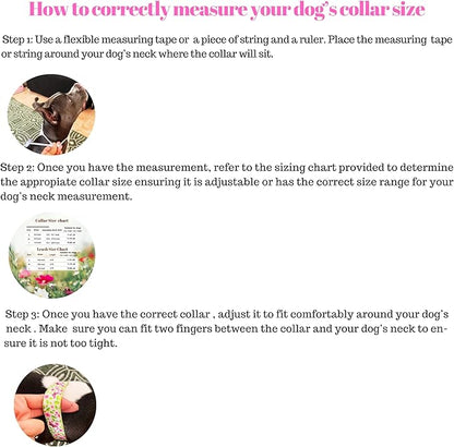 Dog Collar and Leash Set - Durable Polyester Material -Adjustable -Safe Metal Buckle-Cute Summer Dog Leash and Collar Set for Small, Medium and Large Dogs