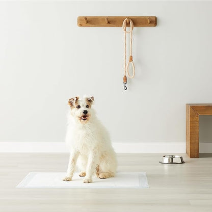 Amazon Basics Basic Disposable Dog Training Pads,XL, 15 Pack