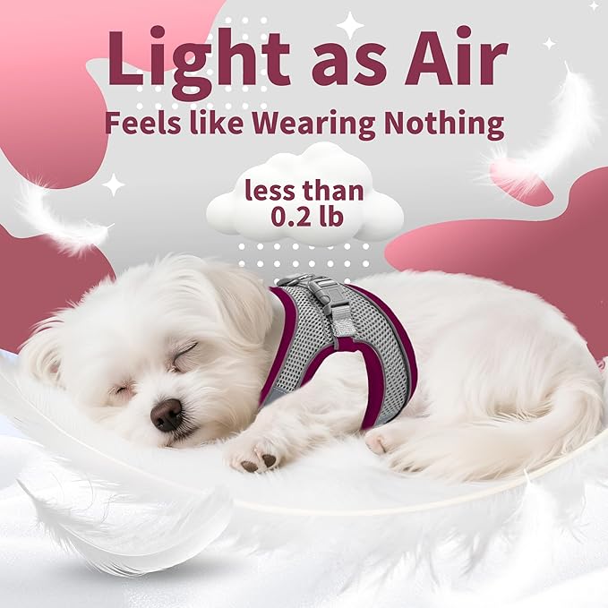 AIITLE Dog Harness, Summer No-Pull Cat Harness with a Leash, Adjustable Reflective Dog Vest, Cat Harness Escape Proof, Outdoor Walking, Camping for Extra Small Dogs and House Cats Burgundy XXXS