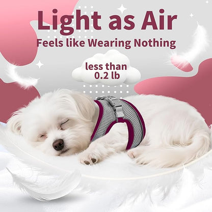 AIITLE Dog Harness, Summer No-Pull Cat Harness with a Leash, Adjustable Reflective Dog Vest, Cat Harness Escape Proof, Outdoor Walking, Camping for Extra Small Dogs and House Cats Burgundy XXXS