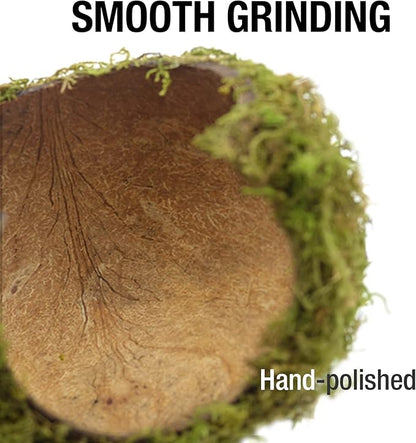 SanmooAio Hamster Hideaway/Hideout,Mossy Cave Hide,Hamster House/Hides,Hamster Cage Accessories for Gguinea Pig/Hedgehogs/Gliders/Rats/Mice and Other Small Animals(Set)