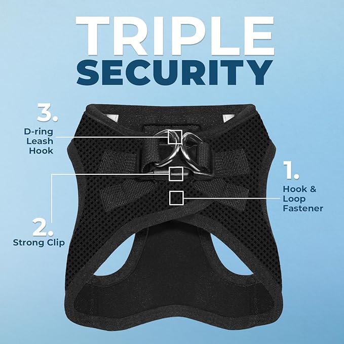 Voyager Step-in Air All Weather Mesh Harness and Reflective Dog 5 ft Leash Combo with Neoprene Handle, for Small, Medium and Large Breed Puppies by Best Pet Supplies - Set (Black), XS