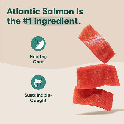 Jinx Premium Grain-Free Dry Dog Food, for All Lifestages - Real Salmon, Sweet Potato & Carrot Puppy Kibble with Superfoods for Immune Support & Probiotics for Digestive Support - No Fillers - 4lb