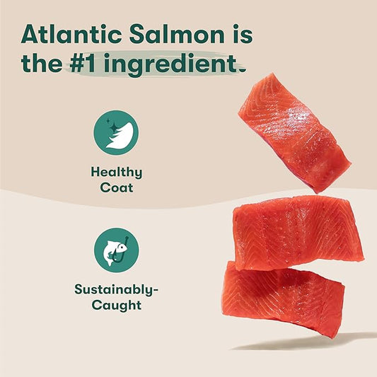 Jinx Premium Grain-Free Dry Dog Food, for All Lifestages - Real Salmon, Sweet Potato & Carrot Puppy Kibble with Superfoods for Immune Support & Probiotics for Digestive Support - No Fillers - 4lb