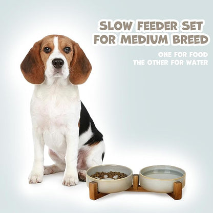 Ceramic Slow Feeder Dog Bowl Set with Stand, Cute Paw Slow Feeding Food Bowl and Water Bowl for Medium Breed, 6.3" Ceramic Non Slip Dog Dishes, Grey