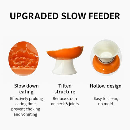 Ceramic Slow Feeder Bowl for Cats and Small Dogs, Elevated Tilted Pet Food Dish, Whisker Friendly Anti-Vomit Design, Heavy Stable Base, Dishwasher Safe， 5 Colors Options (Lemon Yellow)