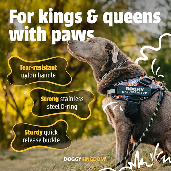 Personalized No-Pull Dog Harness with Name Patch, Adjustable, Reflective, Padded, Heavy Duty Pet Vest to Prevent Tugging, Pulling, or Choking, Training and Walking, Green, S