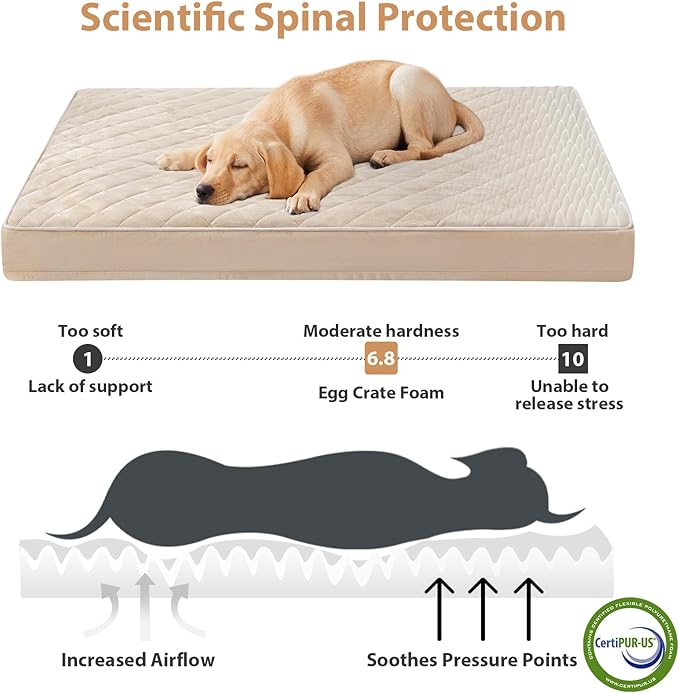 WNPETHOME Orthopedic XL Dog Bed for Crate, Waterproof Extra Large Dogs Bed with Removable Washable Cover, Multi-Needle Quilting Dogs Crate Bed