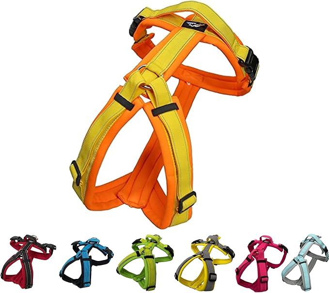 [白山:Hakusan] Zero Dog Harness Basic Type, Safe - No chocking/Hard to Disconnect, Great fit - Easy Put on and Off/Adjustable, Reflector, M - Medium Dog, Two-Tone Orange×Yellow