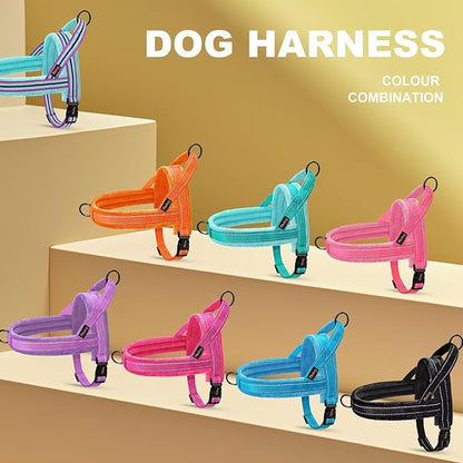 Didog Soft Flannel Padded Dog Vest Harness, No Pull/Quick Fit Reflective Dog Strap Harness, Easy for Training Walking (XS:Chest 15-18", Purple)