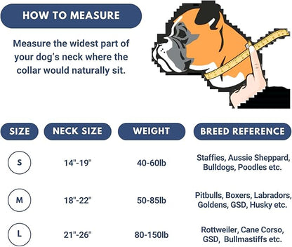 Spark Paws Tactical Dog Collar with Handle - Premium Quality Collar, Robust and Durable Design for Large, Strong Breeds - Pitbulls, Labradors, GSD - Snow Cone - S - 1.5"