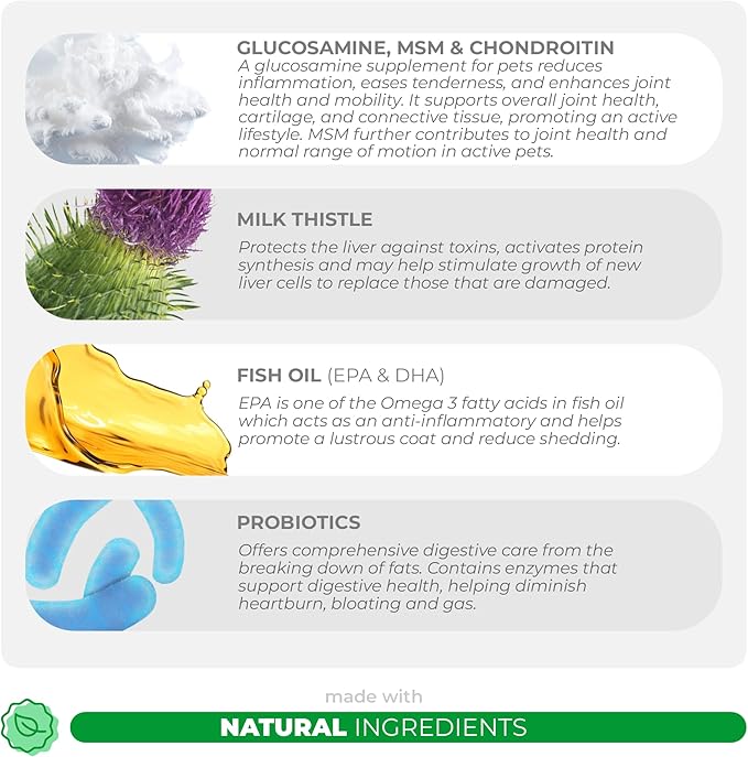 Multivitamin for Dogs - 120 Chewable Tablets with Glucosamine and Chondroitin - Fish Oil & Vitamins with Coq10 for Skin & Heart Health, Gut & Immune Support