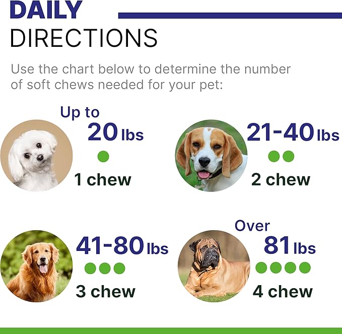 Advanced Hemp Hip & Joint Supplement for Dogs - Glucosamine for Dogs - Dog Joint Pain Relief Treats - Chondroitin Turmeric MSM Hemp Oil - Hemp Treats for Joint Health - Senior Mobility Support Chew