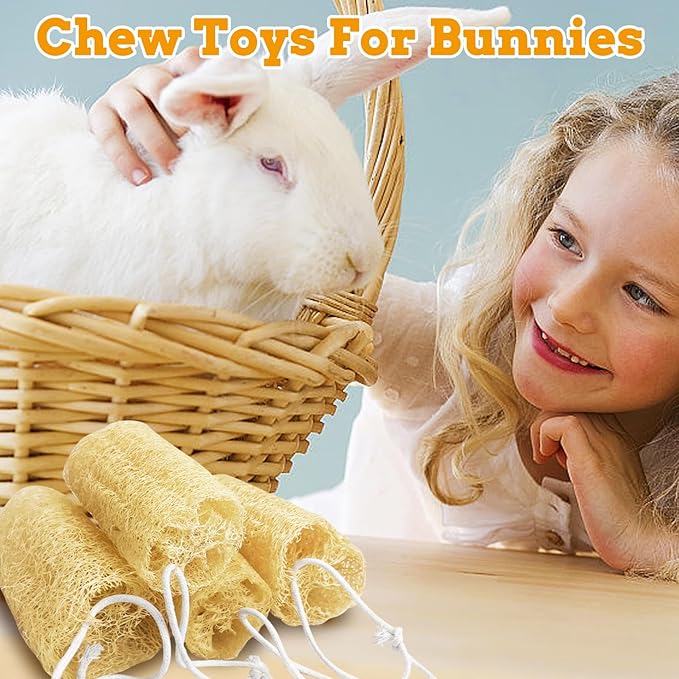 Apatal 12 Pcs Rabbit Chew Toys Natural Bunny Loofah Chew Toy Chinchilla Teeth Grinding Toys Guinea Pig Fibre-Rich Treats Enrichment Bunny Accessories for Rabbits Hamster (S)